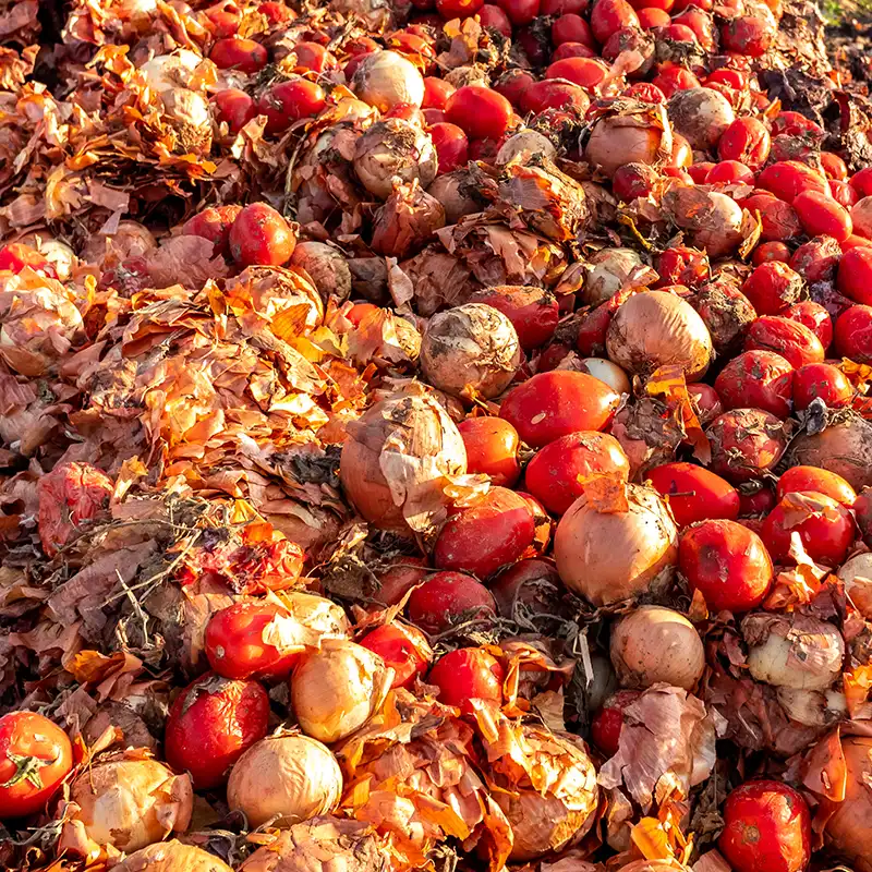 Raw & cooked food waste