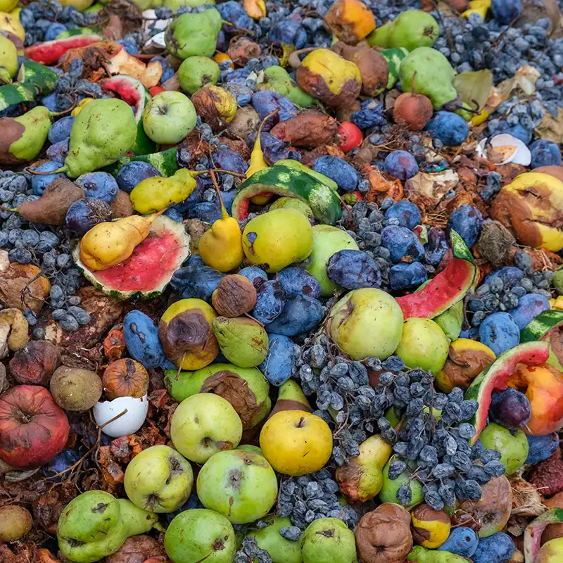 Fruits & vegetables