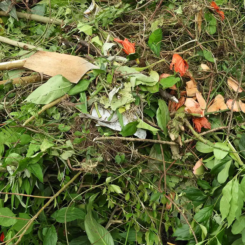 Council green waste