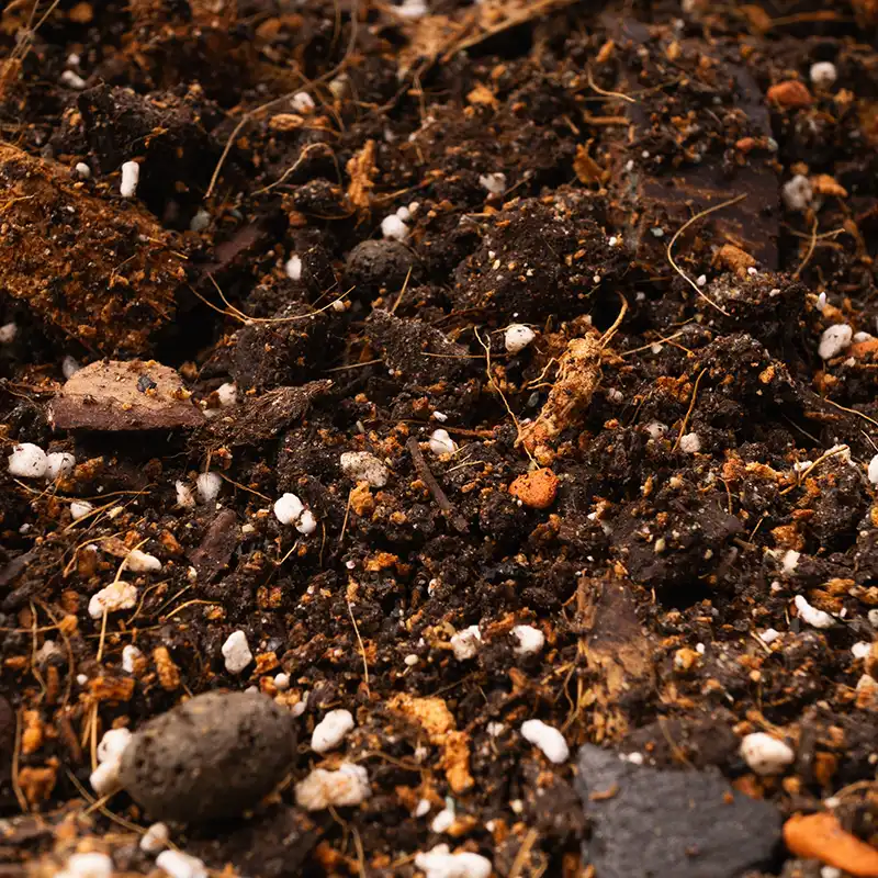 potting mix