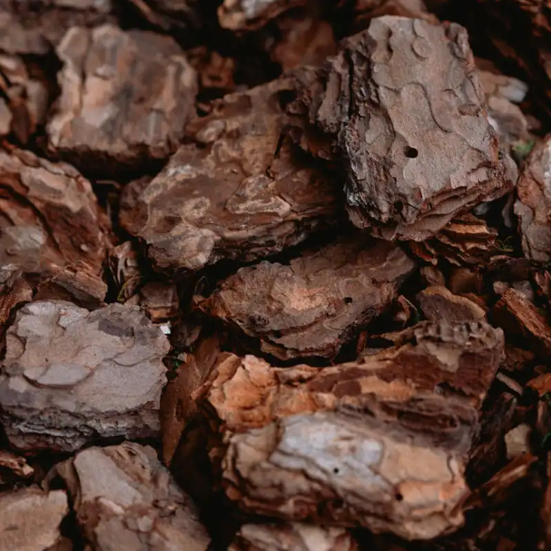 Bark