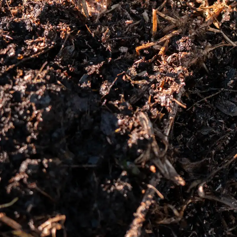 Composts