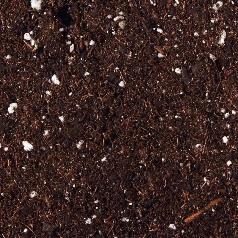 Potting mixes
